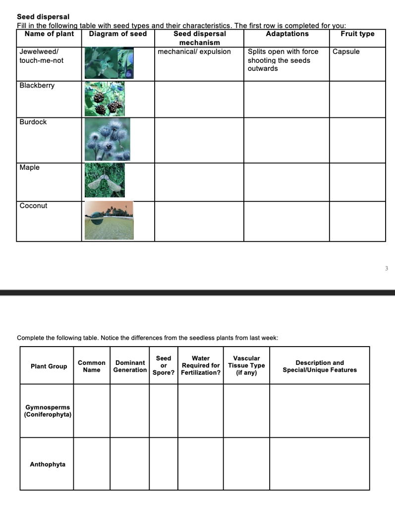 SOLVED: Seed dispersal in the following table with seed types and their ...