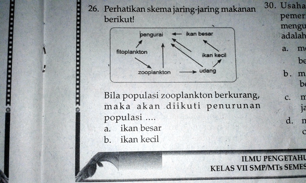 SOLVED: Erhatikan Skema Jaring-jaring Makanan Berikut! (diFoto)Bila ...