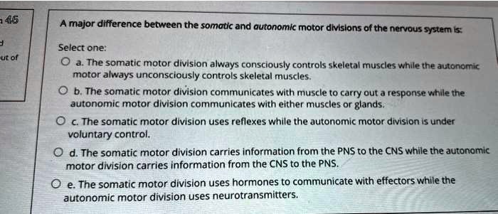 difference between somatic and autonomic