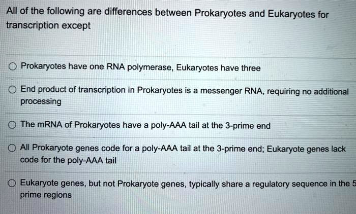 Prokaryotes Contain All Of The Following Except