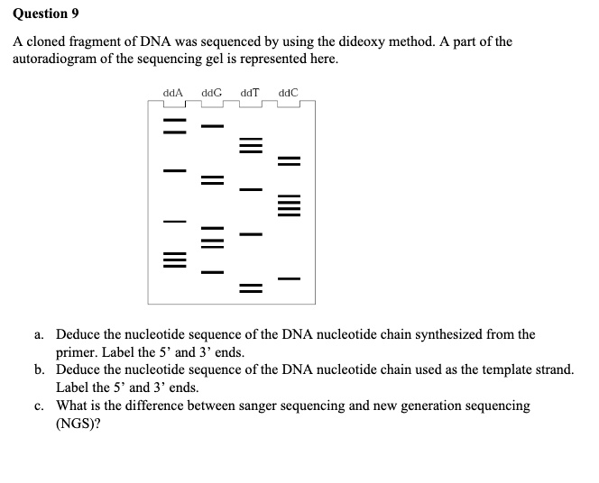 A cloned fragment of DNA was sequenced using the dideoxy method. A part ...