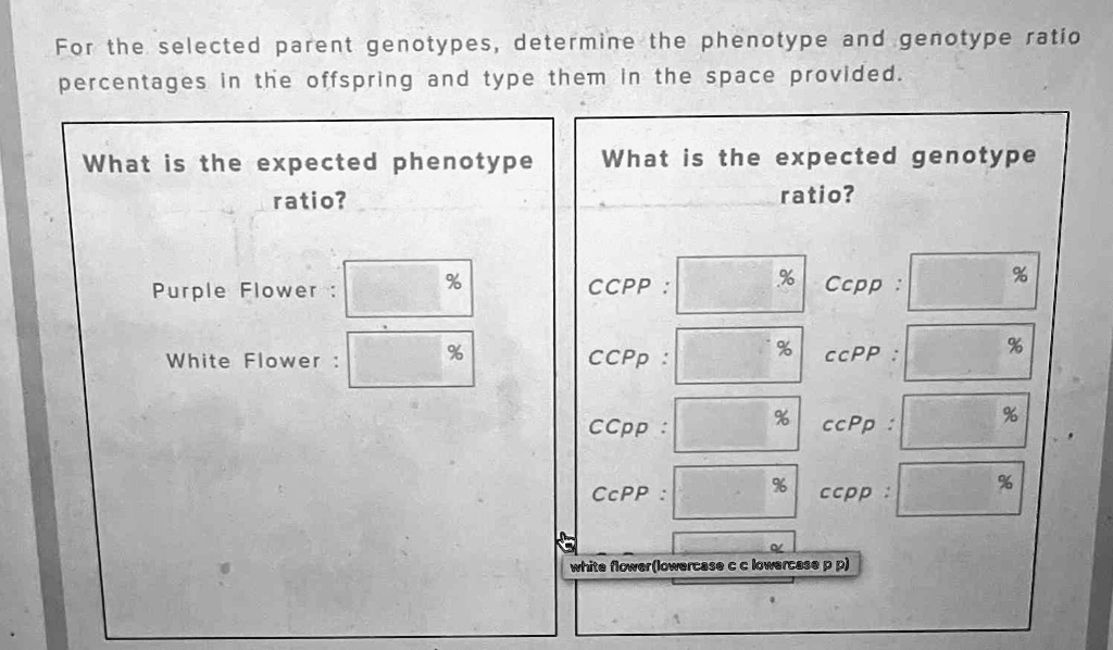 SOLVED For the selected parent genotypes, determine the phenotype and
