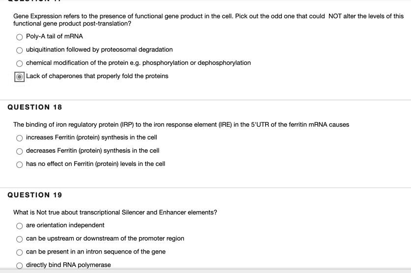 Gene Expression refers to the presence of functional gene product in the cell. Pick out the odd one that could NOT alter the levels of this
functional gene product post-translation?
Poly-A tail of mRNA
ubiquitination followed by proteosomal degradation
chemical modification of the protein e.g. phosphorylation or dephosphorylation
Lack of chaperones that properly fold the proteins
QUESTION 18
The binding of iron regulatory protein (IRP) to the iron response element (IRE) in the 5'UTR of the ferritin mRNA causes
increases Ferritin (protein) synthesis in the cell
decreases Ferritin (protein) synthesis in the cell
has no effect on Ferritin (protein) levels in the cell
QUESTION 19
What is Not true about transcriptional Silencer and Enhancer elements?
are orientation independent
can be upstream or downstream of the promoter region
can be present in an intron sequence of the gene
directly bind RNA polymerase