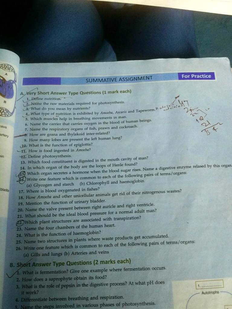 SUMMATIVE ASSIGNMENT
For Practice
A. Very Short Answer Type Questions (1 mark each)
1. Define nutrition.
2. Name the raw materials required for photosynthesis.
3. What do you mean by nutrients?
4. What type of nutrition is exhibited by Amoeba, Ascaris and Tapeworm.
5. Which muscles help in breathing movements in man.
6. Name the carrier that carries oxygen in the blood of human beings.
7. Name the respiratory organs of fish, prawn and cockroach.
8. How are grana and thylakoid inter-related?
9. How many lobes are present the left human lung?
10. What is the function of epiglottis?.
11. How is food ingested in Amoeba?
12. Define photosynthesis.
13. Which food constituent is digested in the mouth cavity of man?
14. In which organ of the body are the loops of Henle found?
15. Which organ secretes a hormone when the blood sugar rises. Name a digestive enzyme relased by this organ.
16. Write one feature which is common to each of the following pairs of terms/organs:
(a) Glycogen and starch (b) Chlorophyll and haemoglobin
17. Where is blood oxygenated in fishes?
18. How Amoeba and other unicellular animals get rid of their nitrogenous wastes?
19. Mention the function of urinary bladder.
20. Name the valve present between right auricle and right ventricle.
21. What should be the ideal blood pressure for a normal adult man?
22. Which plant structures are associated with transpiration?
23. Name the four chambers of the human heart.
24. What is the function of haemoglobin?
25. Name two structures in plants where waste products get accumulated.
26. Write one feature which is common to each of the following pairs of terms/organs:
(a) Gills and lungs (b) Arteries and veins
B. Short Answer Type Questions (2 marks each)
1. What is fermentation? Give one example where fermentation occurs.
2. How does a saprophyte obtain its food?
3. What is the role of pepsin in the digestive process? At what pH does it work?
4. Differentiate between breathing and respiration.
5. Name the steps involved in various phases of photosynthesis.