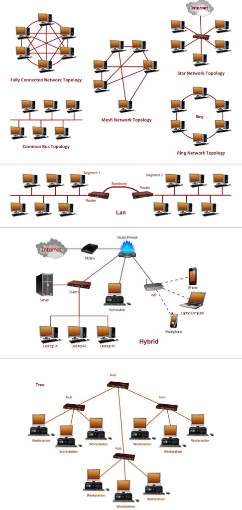 [GET ANSWER] Fully Connected Network Topology Common Bus Topology ...