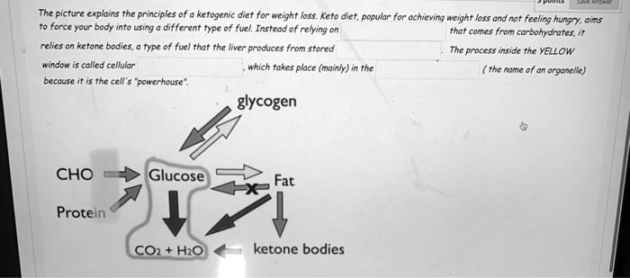 The picture explains the principles of a ketogenic diet for weight loss. Keto diet, popular for achieving weight loss and not feeling hungry, aims to force your body into using a different type of fuel. Instead of relying on that comes from carbohydrates, it relies on ketone bodies, a type of fuel that the liver produces from stored. The process inside the YELLOW window is called cellular, which takes place (mainly) in the (the name of an organelle) because it is the cell's "powerhouse". glycogen CHO Glucose Fat Protein CO2 + H2O ketone bodies
