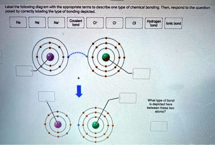 label the following dlagram wlth the appropriate terms to describe one ...