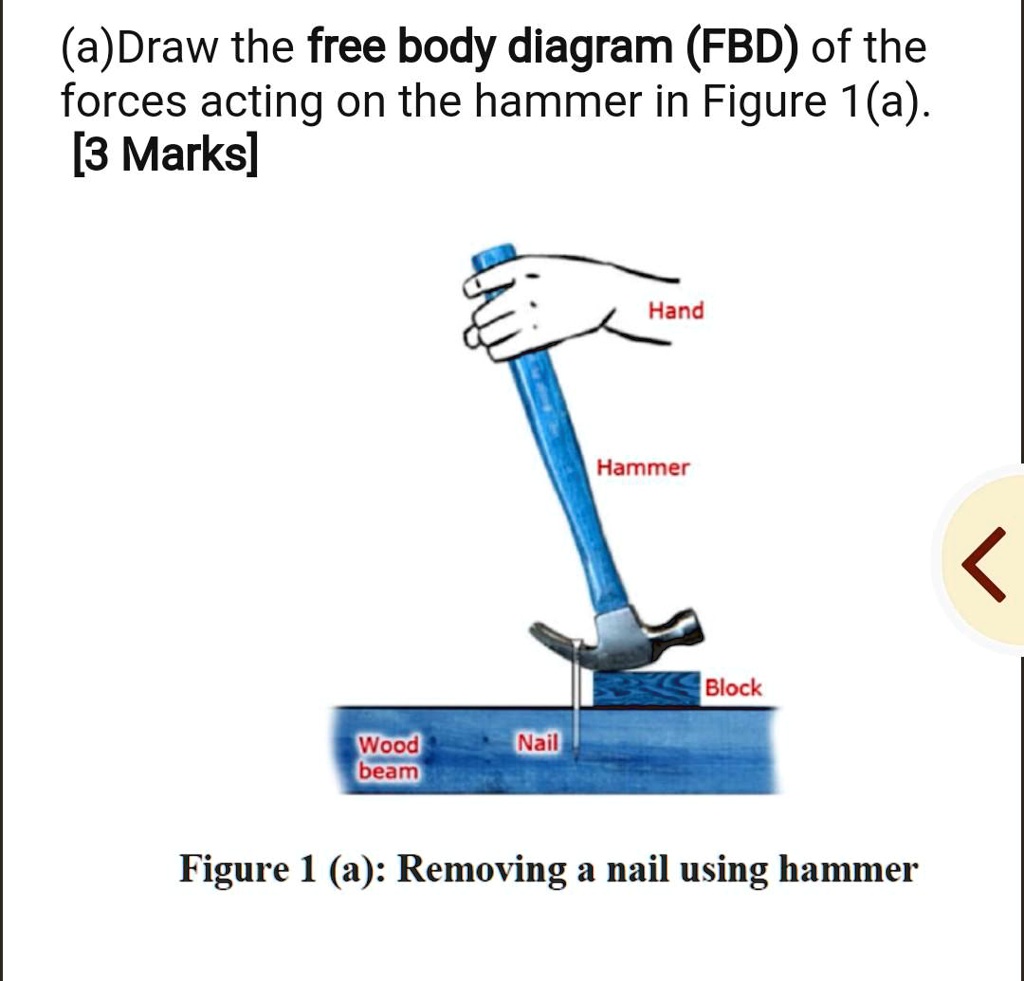 (a)Draw the free body diagram (FBD) of the forces acting on the hammer
