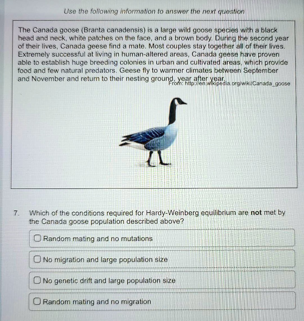 Canada goose 2024 wikipedia google