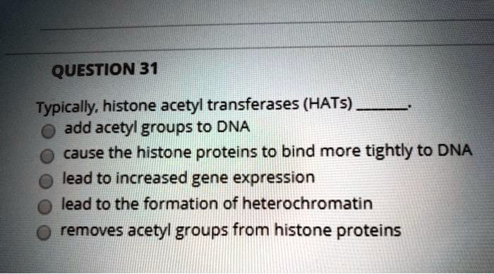 QUESTION 31
Typically, histone acetyl transferases (HATs) .
add acetyl groups to DNA
cause the histone proteins to bind more tightly to DNA
lead to increased gene expression
lead to the formation of heterochromatin
removes acetyl groups from histone proteins