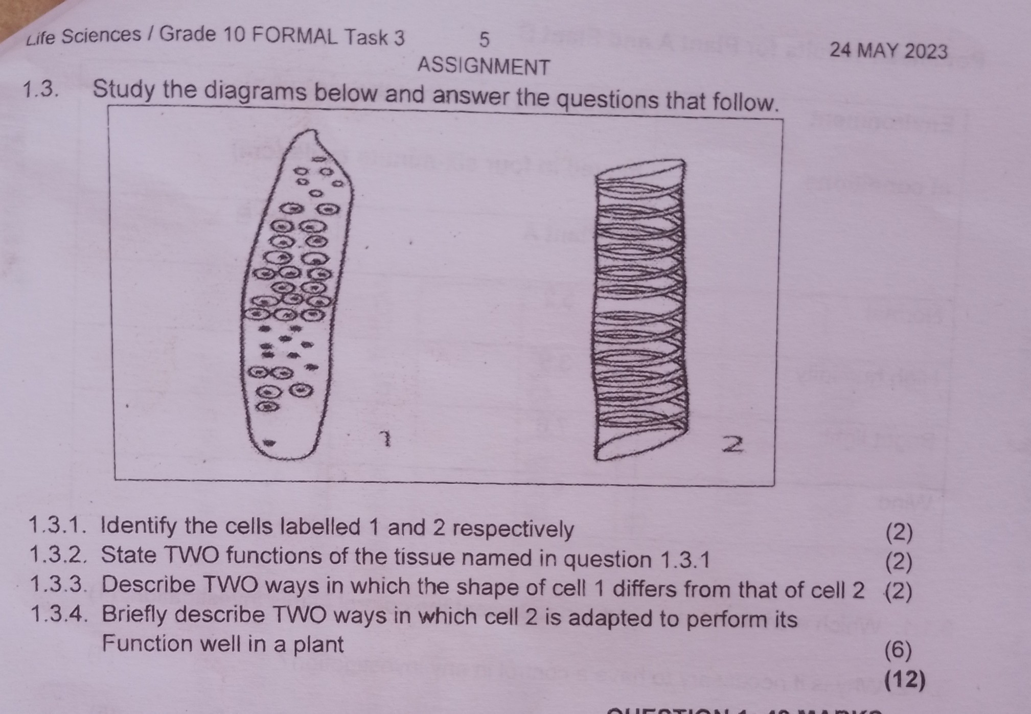 life science grade 10 assignment term 3