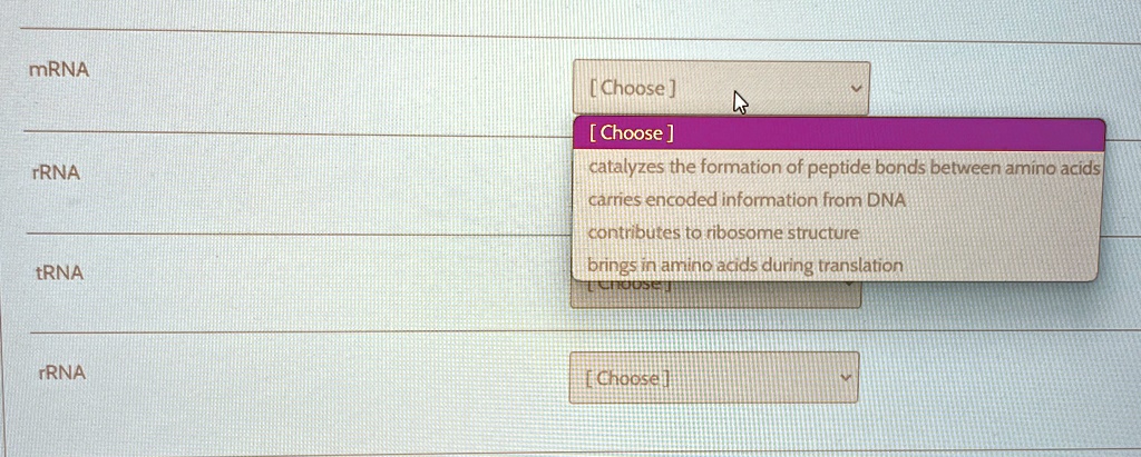 mRNA
[Choose]
[Choose]
catalyzes the formation of peptide bonds between amino acids
TRNA
carries encoded information from DNA
contributes to ribosome structure
tRNA
brings in amino acids during translation
Choose
TRNA
[Choose]