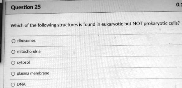 Which of the following structures is found in eukaryotic but NOT prokaryotic cells?
ribosomes
mitochondria
cytosol
plasma membrane
DNA