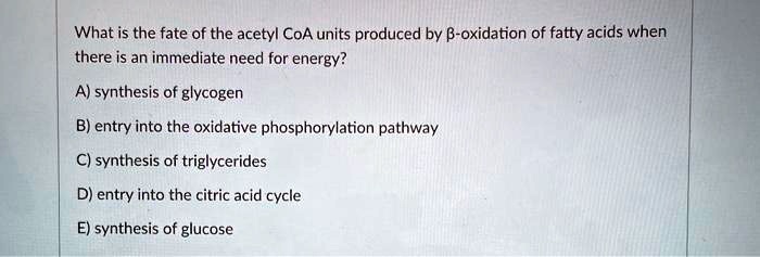 What is the fate of the acetyl CoA units produced by ?-oxidation of fatty acids when there is an immediate need for energy?

A) synthesis of glycogen
B) entry into the oxidative phosphorylation pathway
C) synthesis of triglycerides
D) entry into the citric acid cycle
E) synthesis of glucose