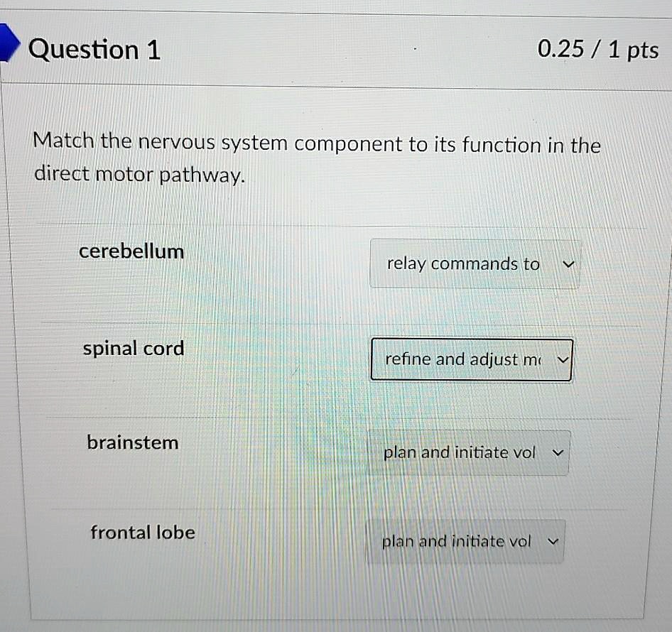 SOLVED Match the nervous system component to its function in the