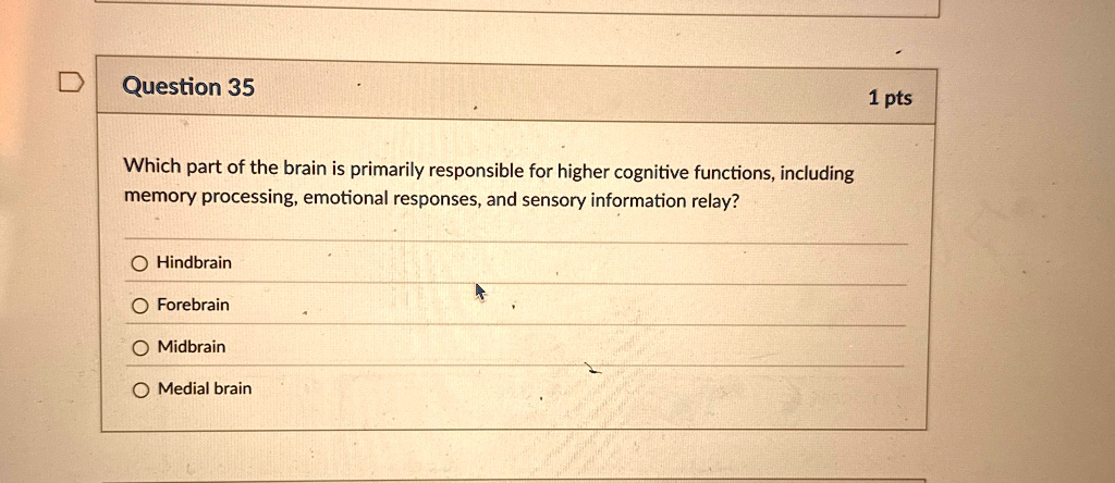 Question 35
Which part of the brain is primarily responsible for higher cognitive functions, including
memory processing, emotional responses, and sensory information relay?
O Hindbrain
O Forebrain
O Midbrain
O Medial brain
1 pts