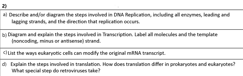 2 a describe andor diagram the steps involved in dna replication ...