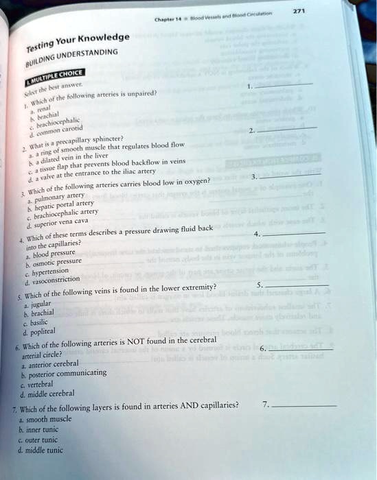 SOLVED Texts 271 Chapter 14 Blood and Circulation MULTIPLE CHOICE 1