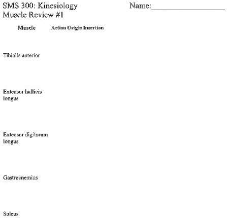 SOLVED SMS 300 Kinesiology Muscle Review 1 Name Muscle Action Origin Insertion Tibialis