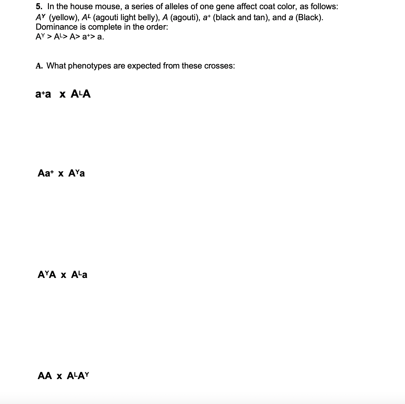 SOLVED 5. In the house mouse, a series of alleles of one gene affect