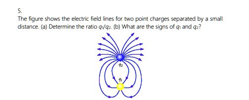 The Figure Shows The Electric Field Lines For Two Point Charges 