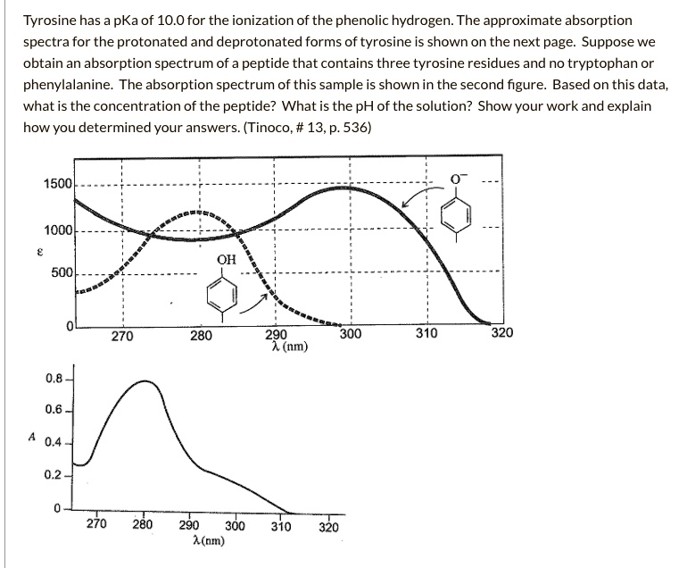 How Long Does It Take For Tyrosine To Work SOLVED: Tyrosine has a pKa of 10.0 for the ionization of the phenolic