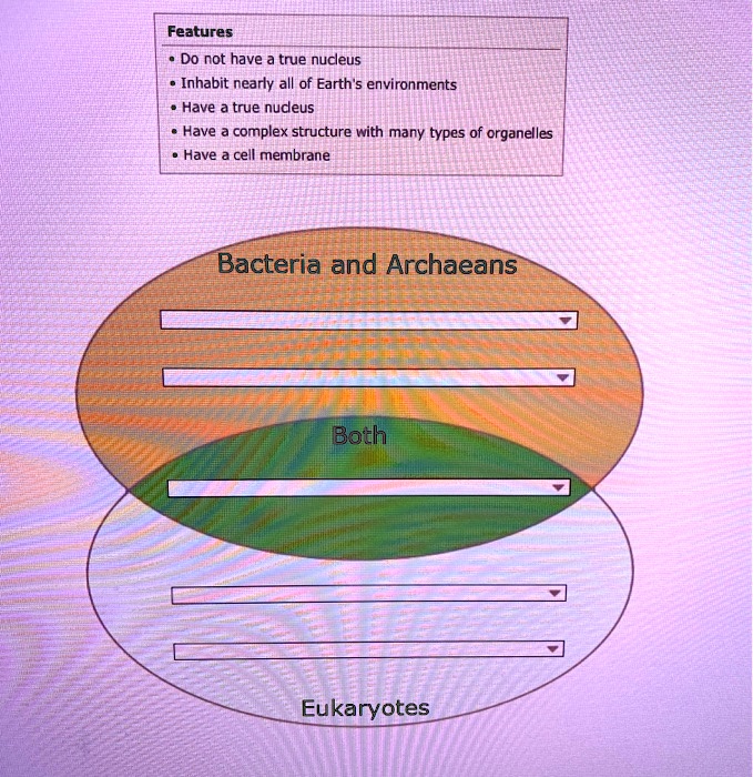 SOLVED Features Do not have true nucleus Inhabit nearly all of Earth's