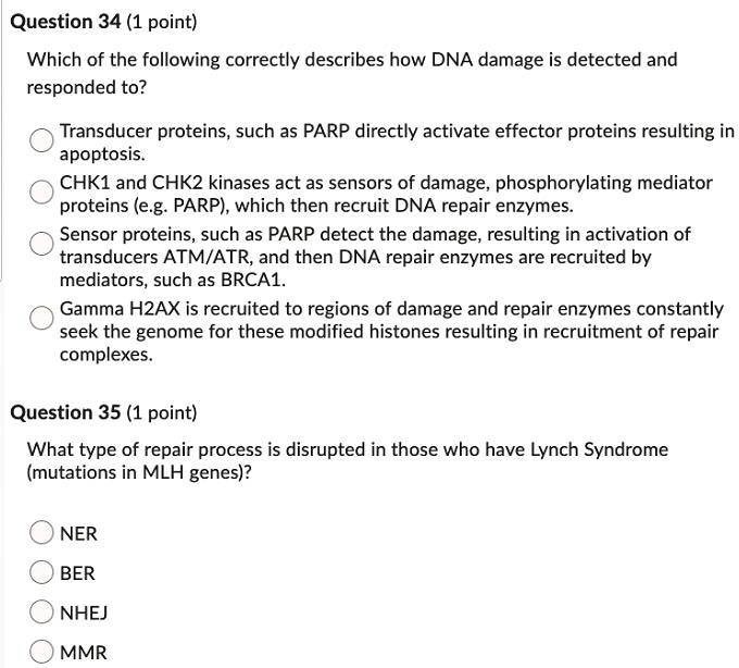 SOLVED: Question 34 (1 point) Which of the following correctly ...