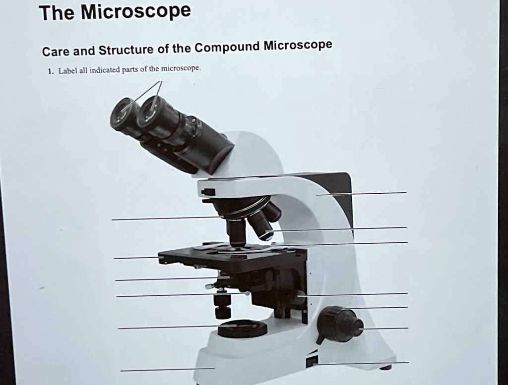 The Microscope Care and Structure of the Compound Microscope Label all ...