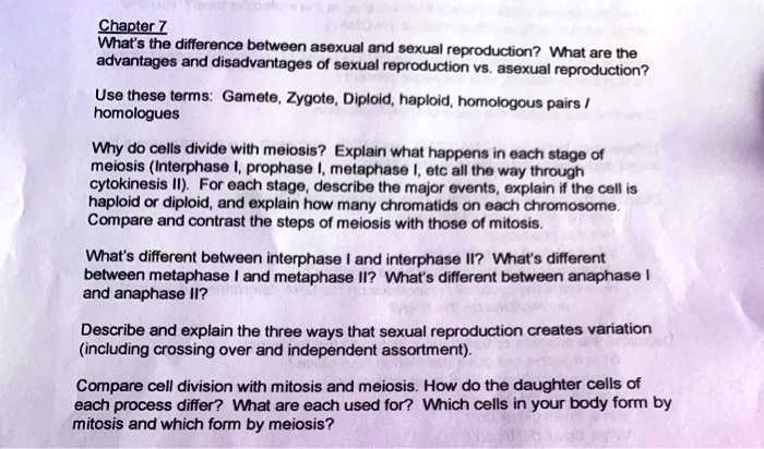 Chapter 7
What's the difference between asexual and sexual reproduction? What are the advantages and disadvantages of sexual reproduction vs. asexual reproduction?

Use these terms: Gamete, Zygote, Diploid, haploid, homologous pairs / homologues

Why do cells divide with meiosis? Explain what happens in each stage of meiosis (Interphase I, prophase I, metaphase I, etc all the way through cytokinesis II). For each stage, describe the major events, explain if the cell is haploid or diploid, and explain how many chromatids on each chromosome. Compare and contrast the steps of meiosis with those of mitosis.

What's different between interphase I and interphase II? What's different between metaphase I and metaphase II? What's different between anaphase I and anaphase II?

Describe and explain the three ways that sexual reproduction creates variation (including crossing over and independent assortment).

Compare cell division with mitosis and meiosis. How do the daughter cells of each process differ? What are each used for? Which cells in your body form by mitosis and which form by meiosis?