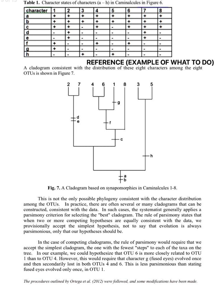 Cladogram Example With Table