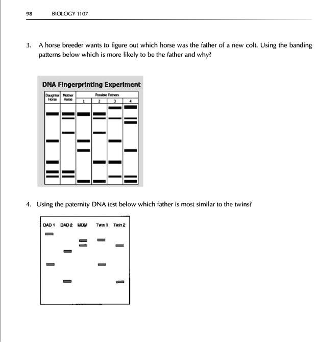 biology i107 horse breeder wants ligure out which horse ihe father of ...