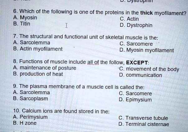6. Which of the following is one of the proteins in the thick myofilament?
A. Myosin C. Actin
B. Titin D. Dystrophin

7. The structural and functional unit of skeletal muscle is the:
A. Sarcolemma C. Sarcomere
B. Actin myofilament D. Myosin myofilament

8. Functions of muscle include all of the following, EXCEPT:
A. maintenance of posture C. movement of the body
B. production of heat D. communication

9. The plasma membrane of a muscle cell is called the:
A. Sarcolemma C. Sarcomere
B. Sarcoplasm D. Epimysium

10. Calcium ions are found stored in the:
A. Perimysium C. Transverse tubule
B. H zone D. Terminal cisternae