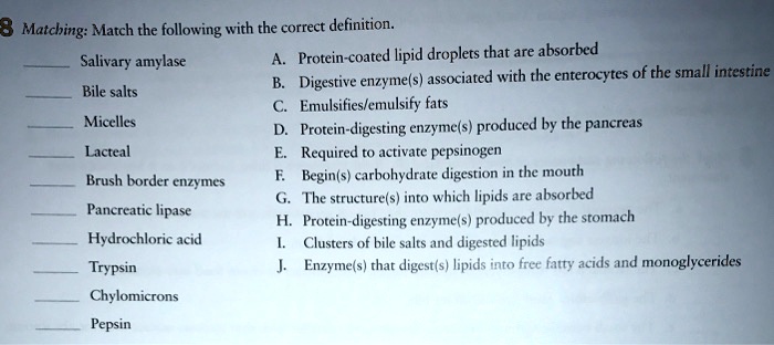 SOLVED: 8 Matching: Match the following with the correct definition ...