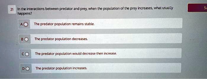 In the interactions between predator and prey, when the population of the prey increases, what usually happens?
A The predator population remains stable.
B The predator population decreases.
C The predator population would decrease then increase.
D The predator population increases.
