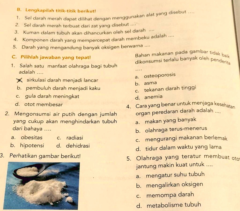 SOLVED: TOLONG JAWAB DONG INI AKU TERAKHIR NGUMPUL JAM 3 PAGI.B.1.2.3.4 ...