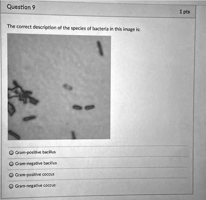 SOLVED: Question 9 1 pts The correct description of the species of ...