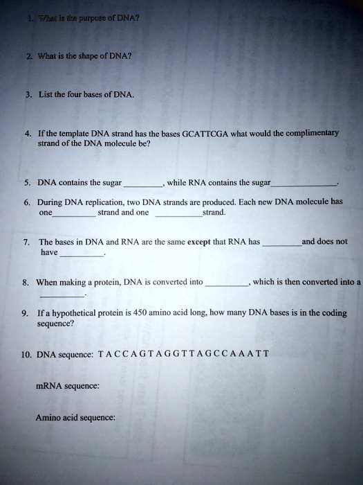 SOLVED: PWLsf ie purtcE? of DNA? WWhat the shape of DNA? List the four ...