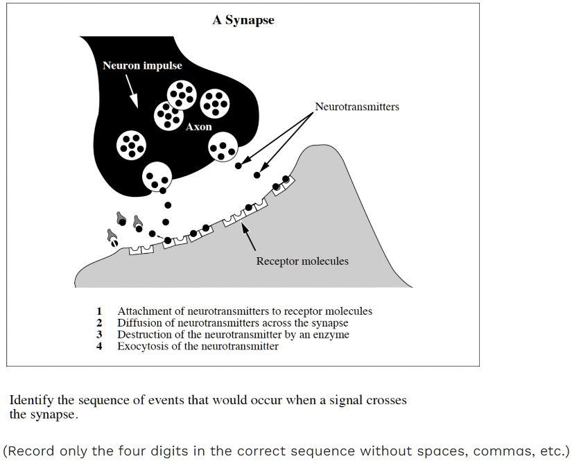 SOLVED: A Synapse Neuron impulse Neurotransmitters Axon Receptor ...