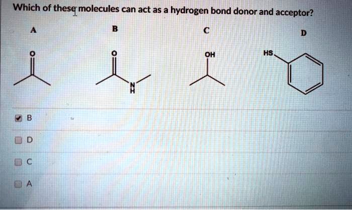 which of thesq molecules can act asa hydrogen bond donor and acceptor ...
