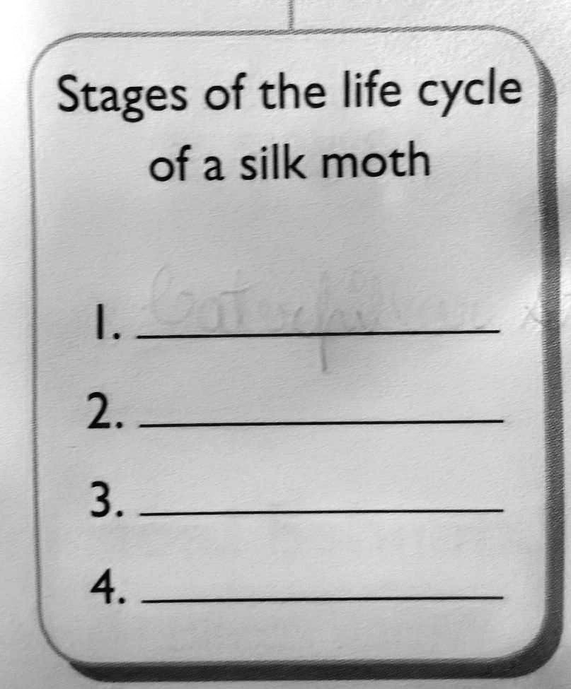 SOLVED 'Stages of the Life cycle of a Silk Moth are 1.2.3.4. Stages of the life cycle of a