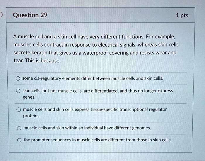 SOLVED Question 29 1 pts A muscle cell and a skin cell have very