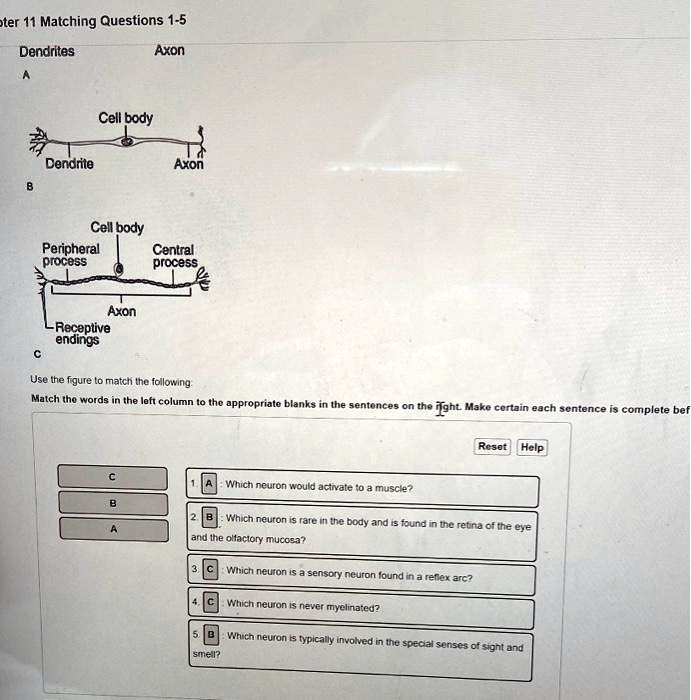 SOLVED: Help me answer. One is wrong. Point A is on there lmfao ...