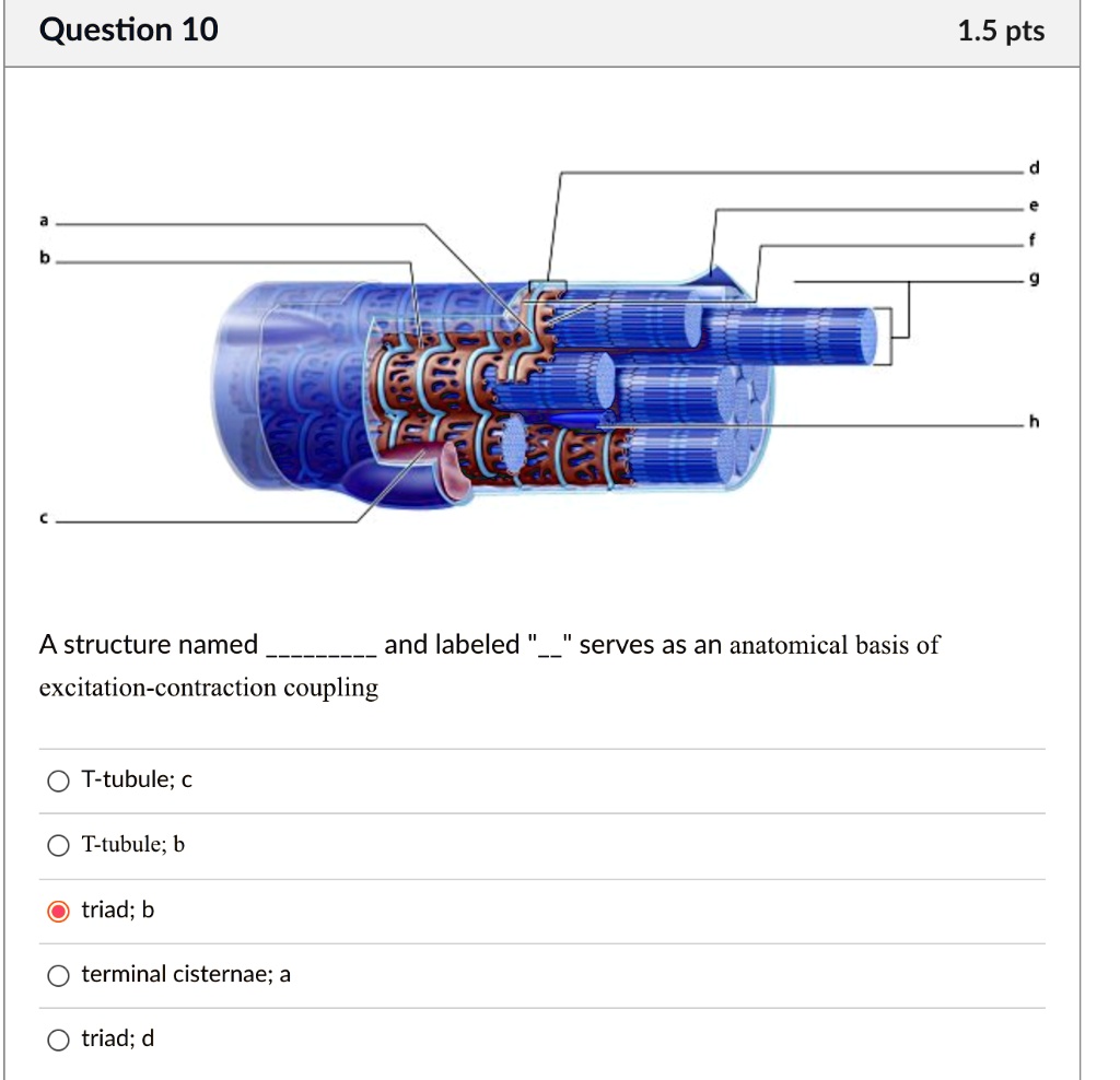 Question 10 1.5 pts a b c A structure named and labeled