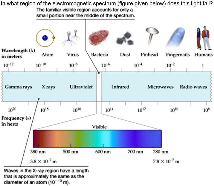 SOLVED: In what region of the electromagnetic spectrum (figure given ...