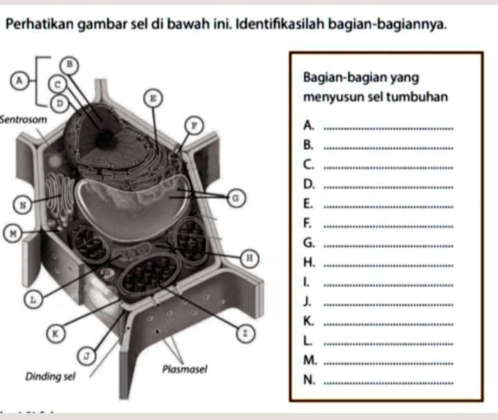 SOLVED: Tolong Bantu Jawab Plisss, Besok Hari Terakhir Kumpul ...