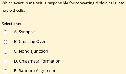 Which event in meiosis is responsible for converting diploid cells into haploid cells?
Select one:
A. Synapsis
B. Crossing Over
C. Nondisjunction
D. Chiasmata Formation
E. Random Alignment
