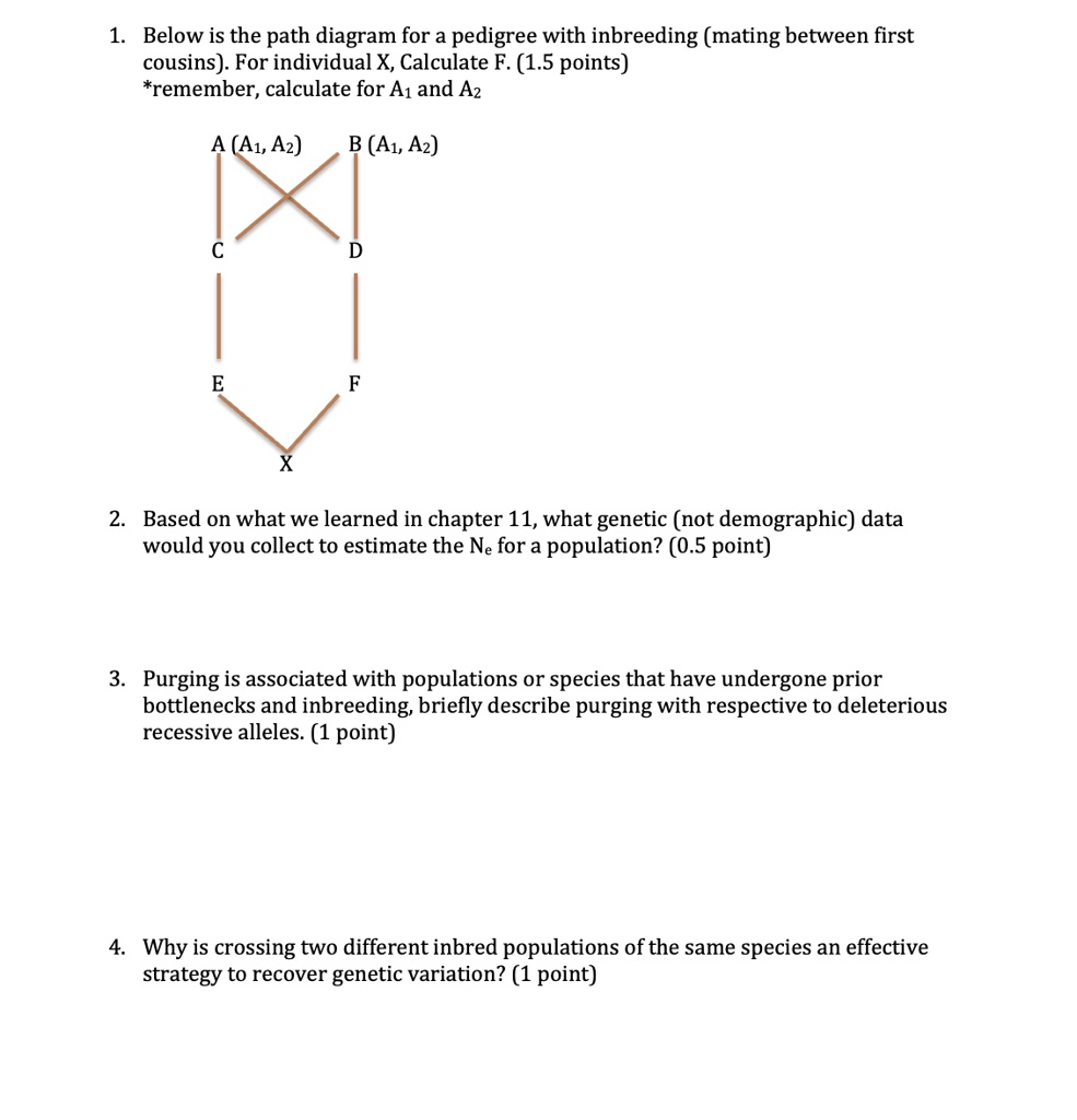 SOLVED: 1. Below is the path diagram for a pedigree with inbreeding ...