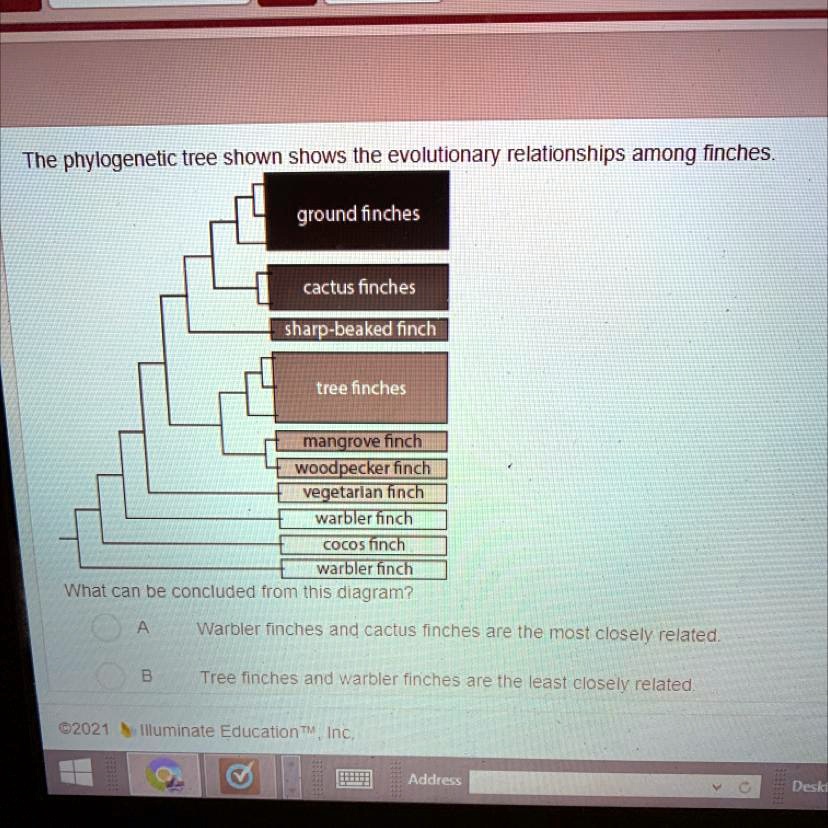 SOLVED: The phylogenetic tree shown shows the evolutionary ...