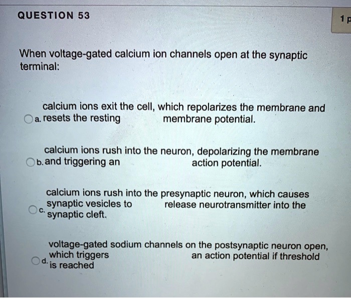When voltage-gated calcium ion channels open at the synaptic terminal:

a. calcium ions exit the cell, which repolarizes the membrane and resets the resting membrane potential.
b. calcium ions rush into the neuron, depolarizing the membrane and triggering an action potential.
c. calcium ions rush into the presynaptic neuron, which causes synaptic vesicles to release neurotransmitter into the synaptic cleft.
d. voltage-gated sodium channels on the postsynaptic neuron open, which triggers an action potential if threshold is reached